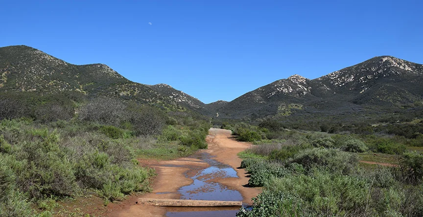 Trailhead views of Iron Mountain. 