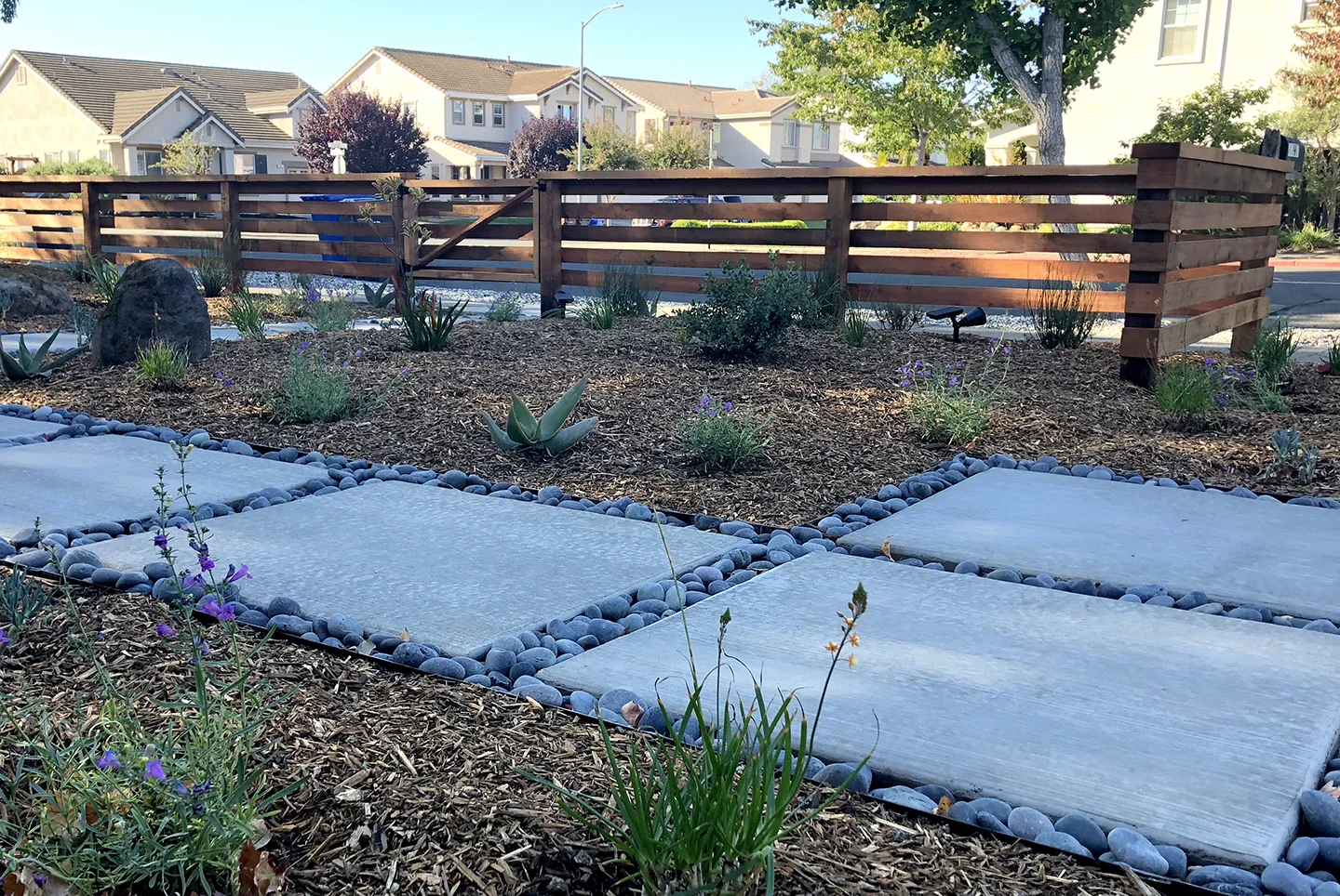 This Lawn to Garden design incorporates permeable paving and a native and low water planting palette. Unlike many of their neighbor’s, this property now features a lush, habitat enriched, water-saving garden as its front yard which offers improved curb appeal and overall value to the home.