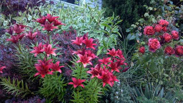 Screen Shot 2017-02-10 at 9.46.17 PM.png