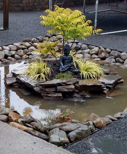 RainGarden.Thumbnail.jpg