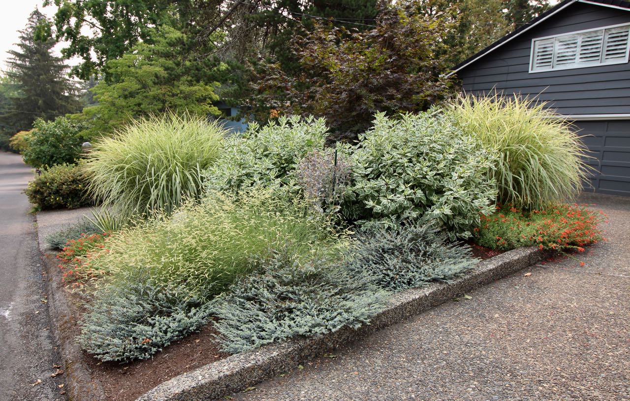 Foliage detail.jpg