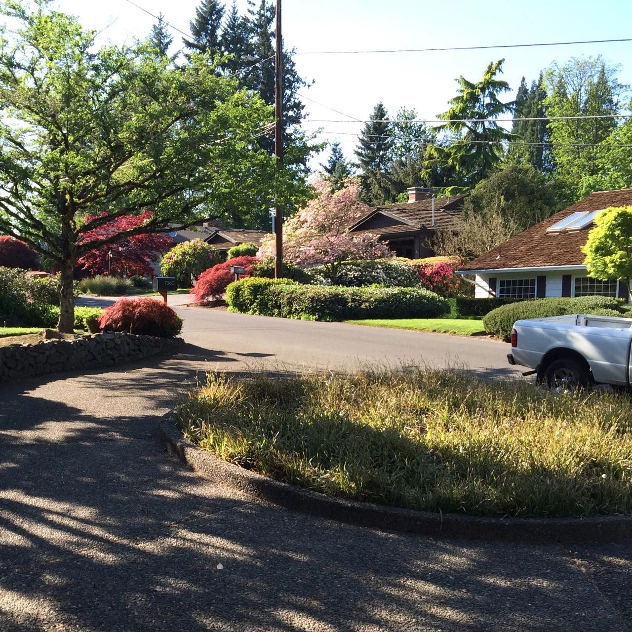 Sarah Kay front yard - before.jpg