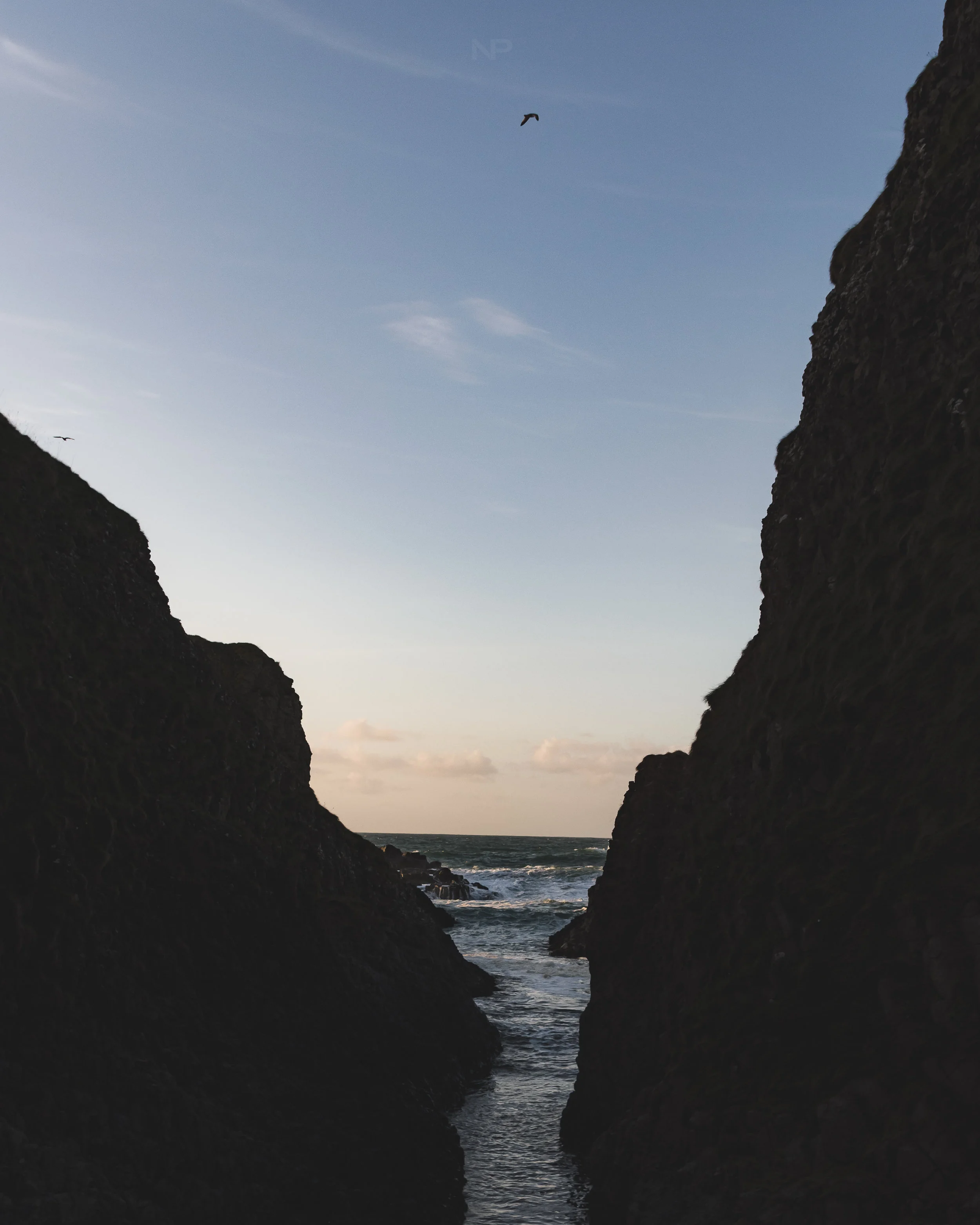 _DSB2670-Edit.jpg