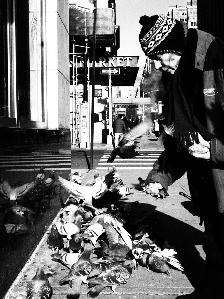 Pigeon man by Alex Regen 