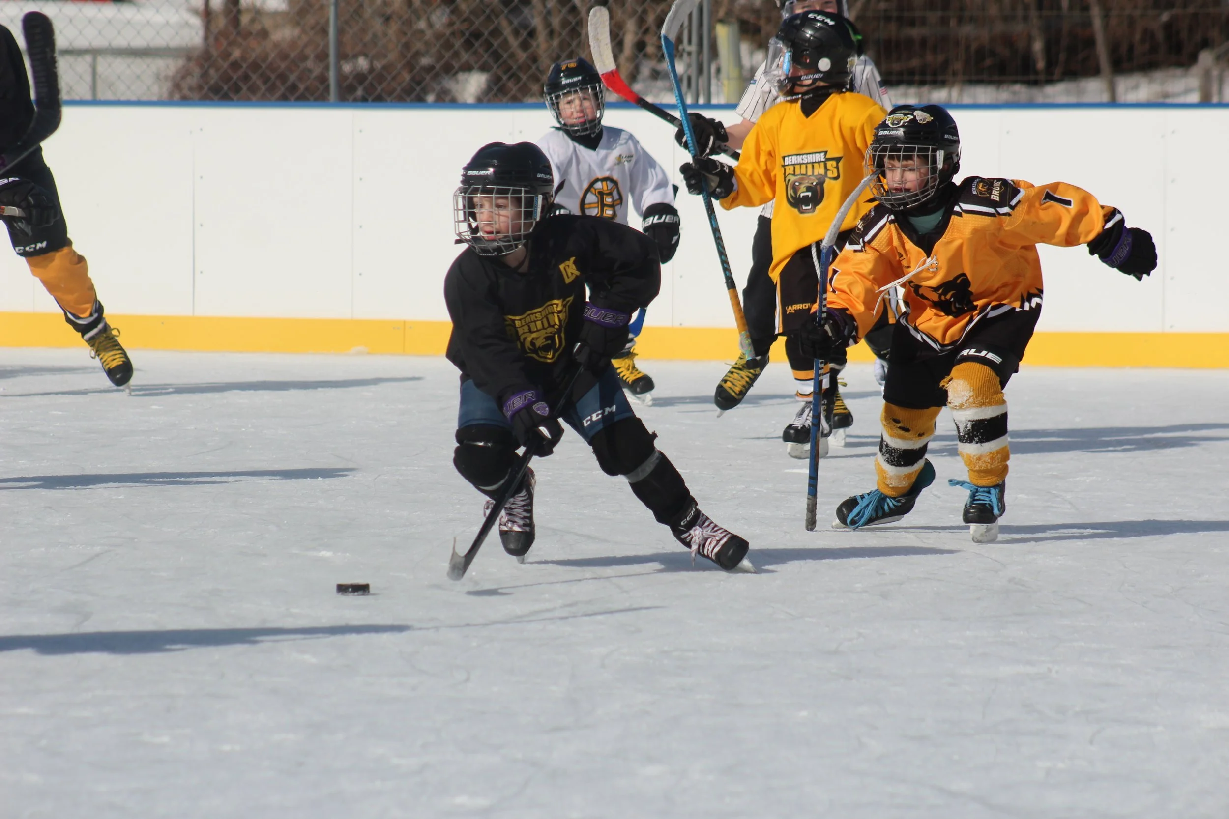 Youth hockey players skating at Wahconah Park ice rink in Pittsfield Massachusetts
