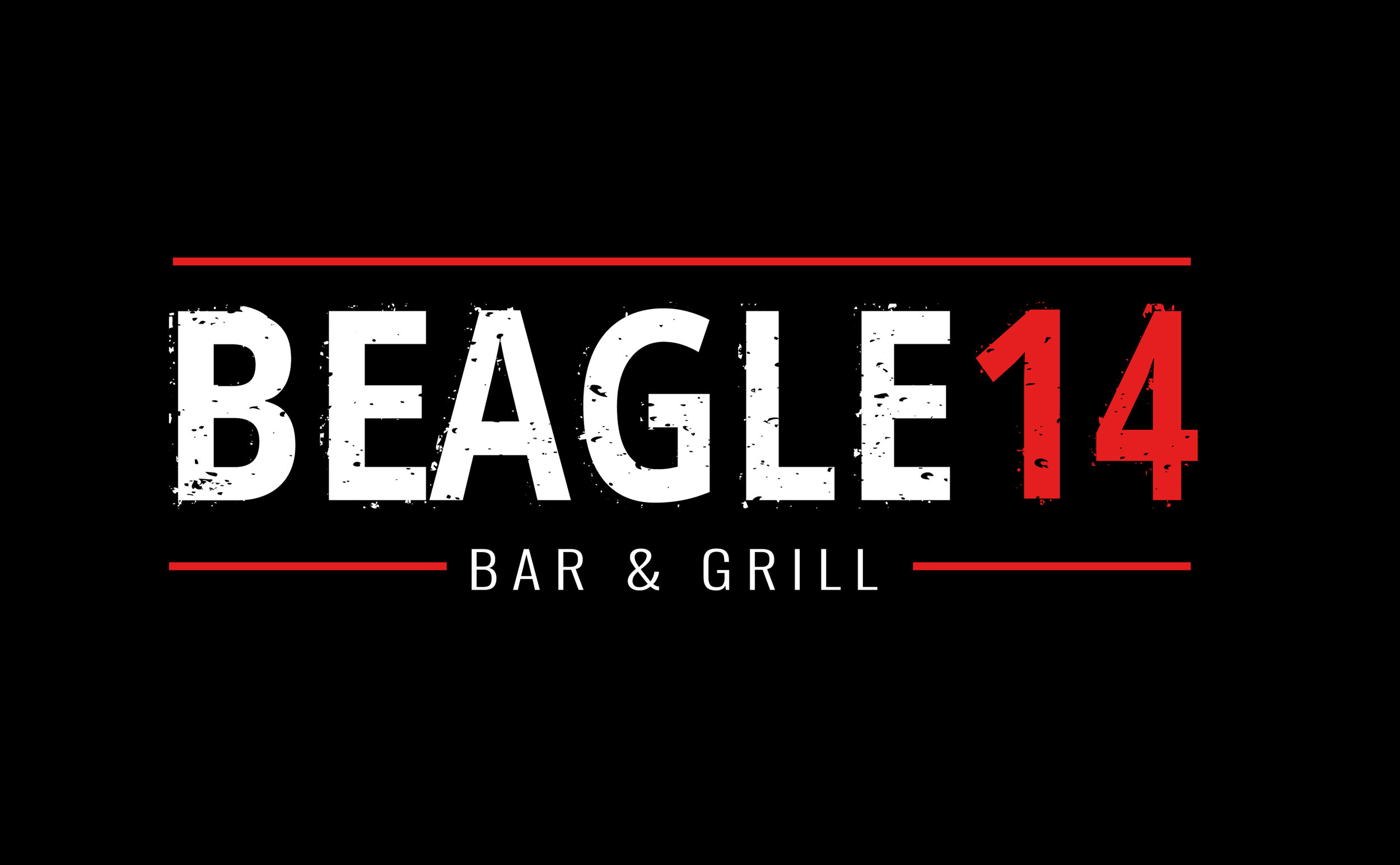 Beagle14 logo%5b6700%5d.jpg