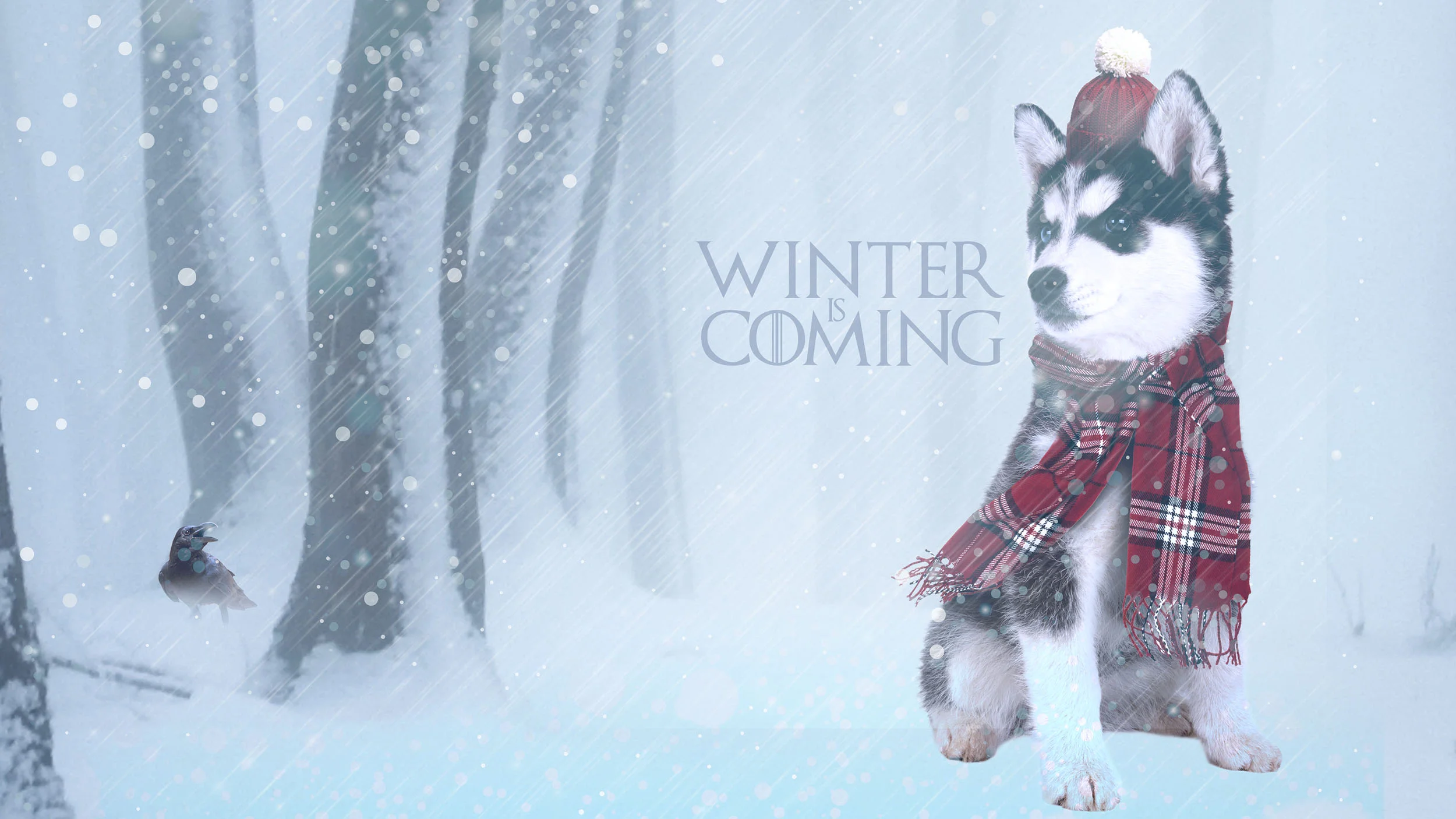 Winter is Coming Wallpaper Copyright © 2012-2017 460 Communications Inc. All rights reserved. This design is intended strictly for portfolio use only and cannot be reproduced in any way with out written consent from 460 Communications Inc. · Photoshop