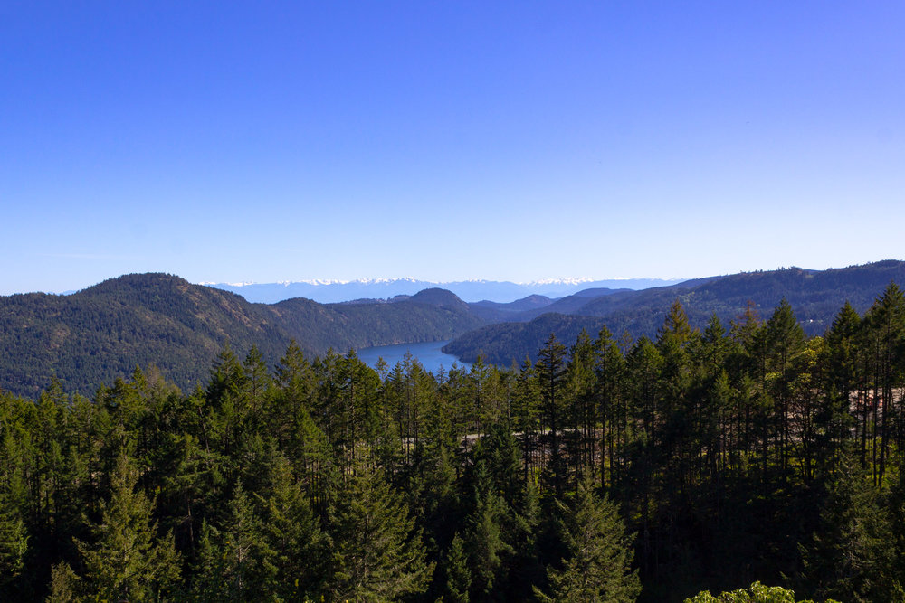 View from Malahat