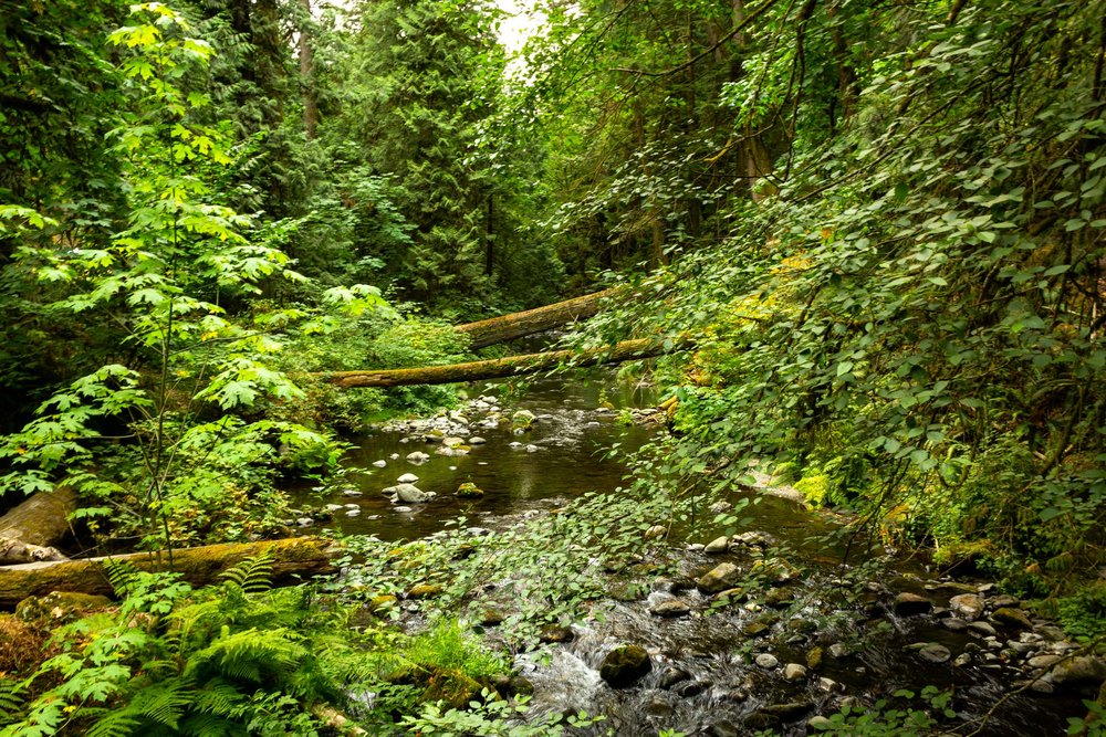 Goldstream Provincial Park