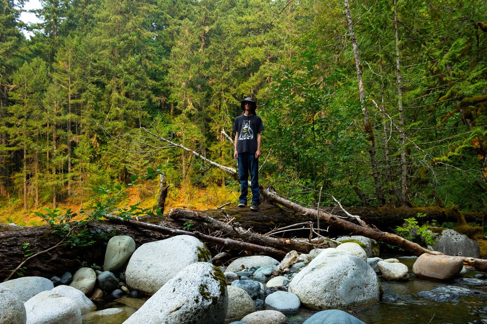 Englishman River Falls Provincial Park