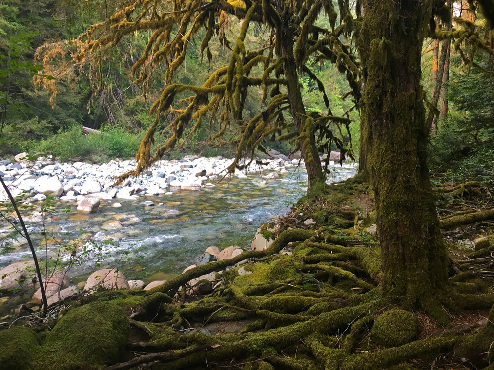 Englishman River Falls Provincial Park