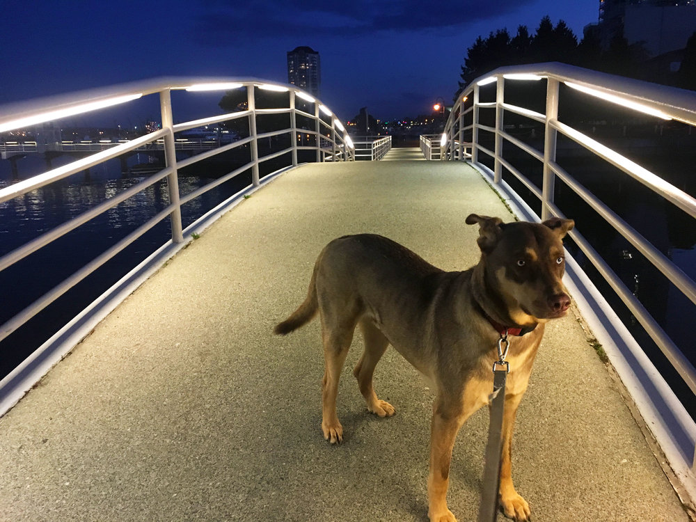 Nanaimo Waterfront