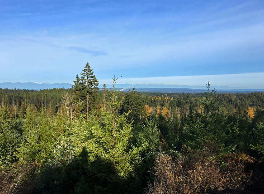 Nanaimo River Road Area