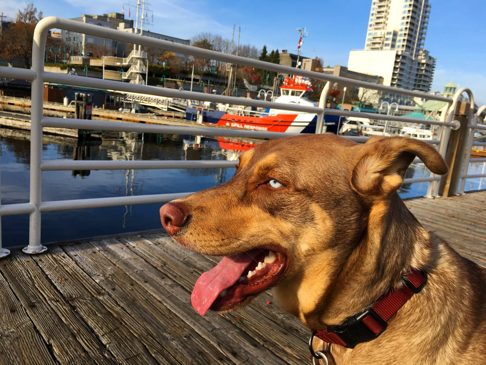 Nanaimo Waterfront