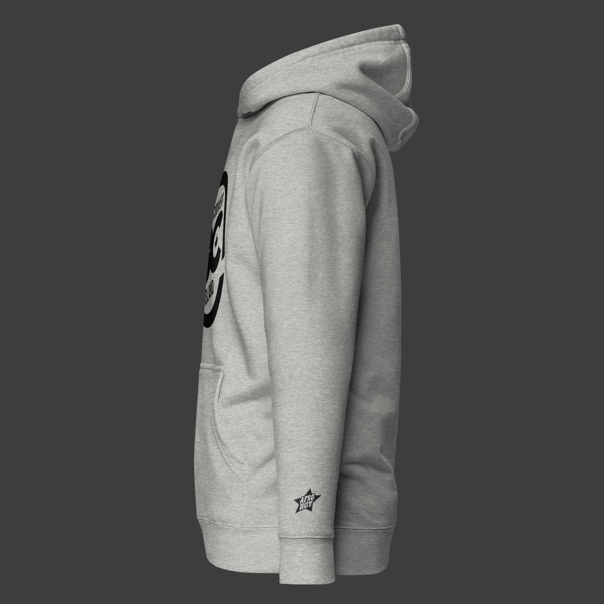 Unisex-premium-hoodie-CarbonGrey-left-BCCoastlineSky.jpg