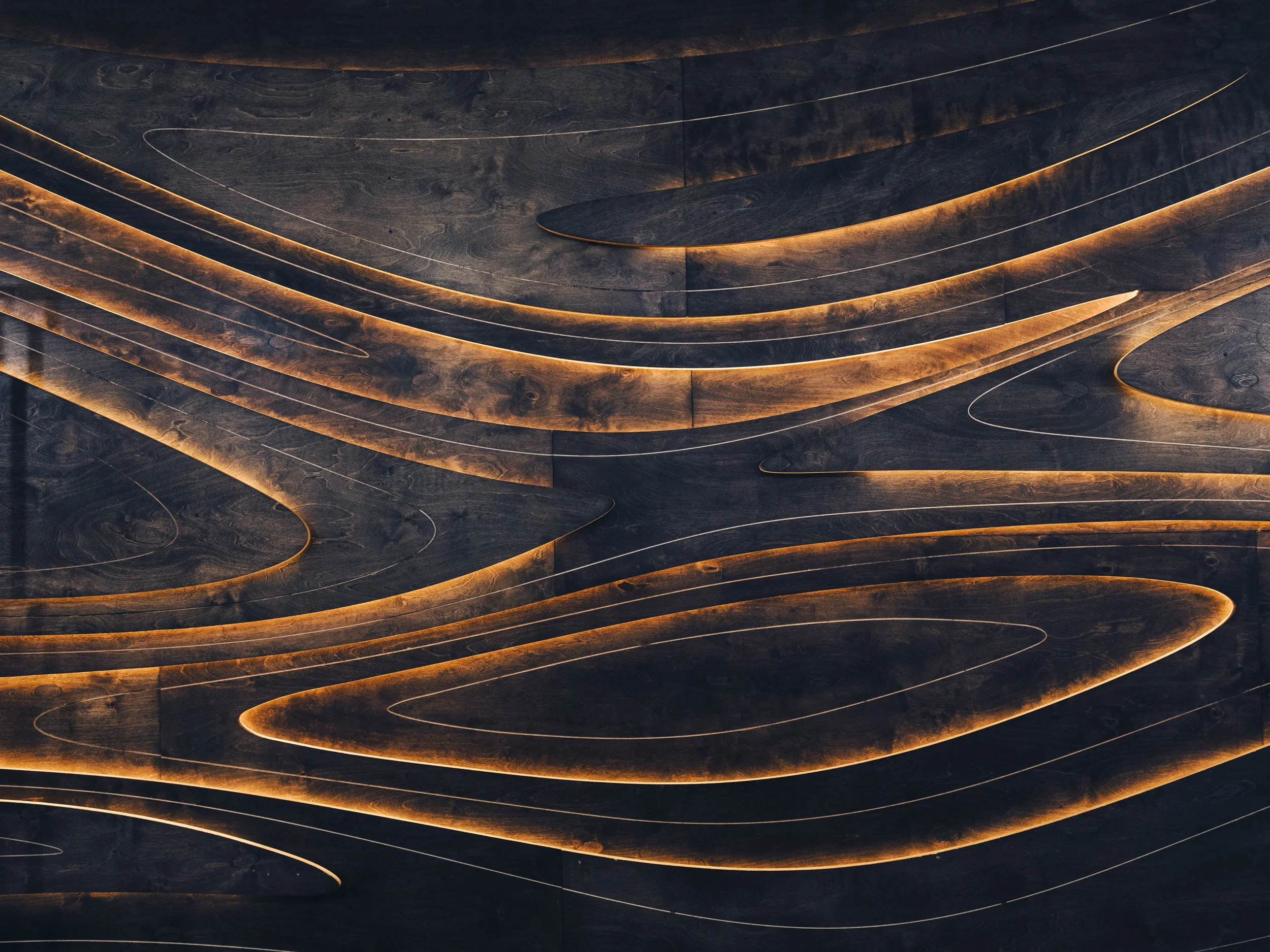 Zebra Resilience:  Alison Mountford, Ends+Stems