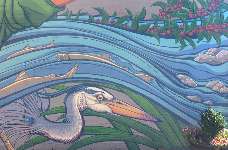 Issaquah_Mural_heron_detail_Goettling.JPG