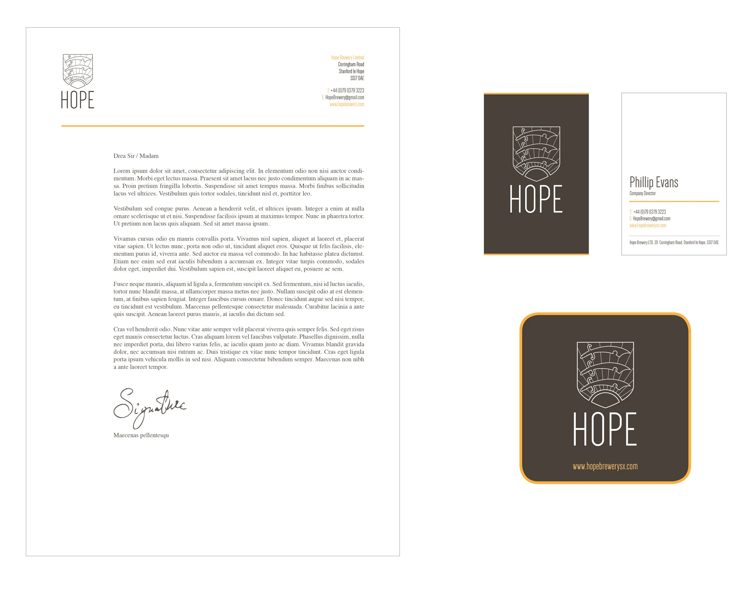 hope_presentation_v2_01-5.jpg