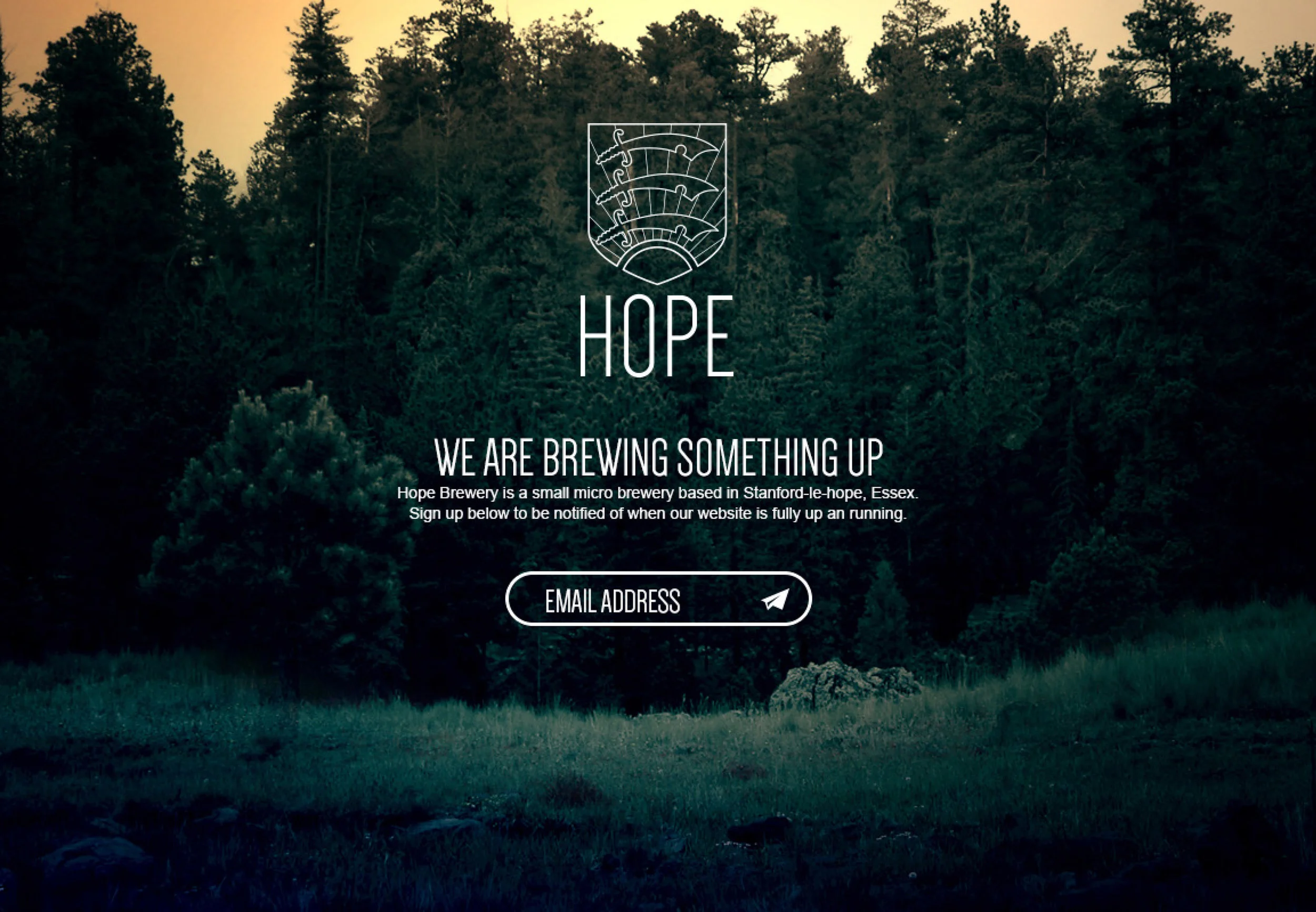 hope_presentation_v2_01-6.jpg
