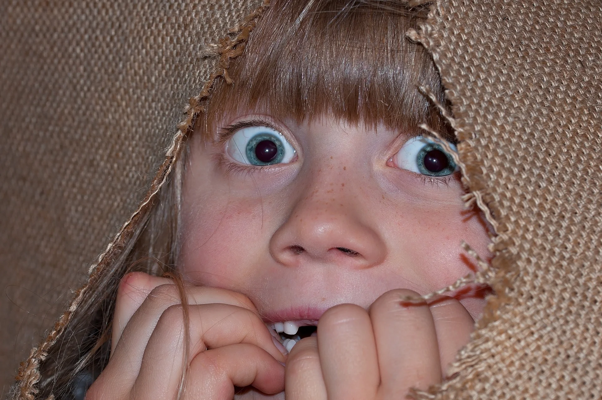 person-1205140_1920.jpg