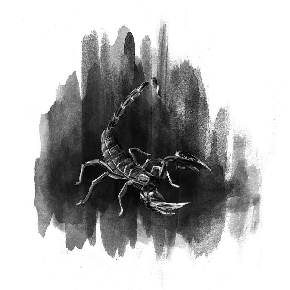 starsigns - scorpion