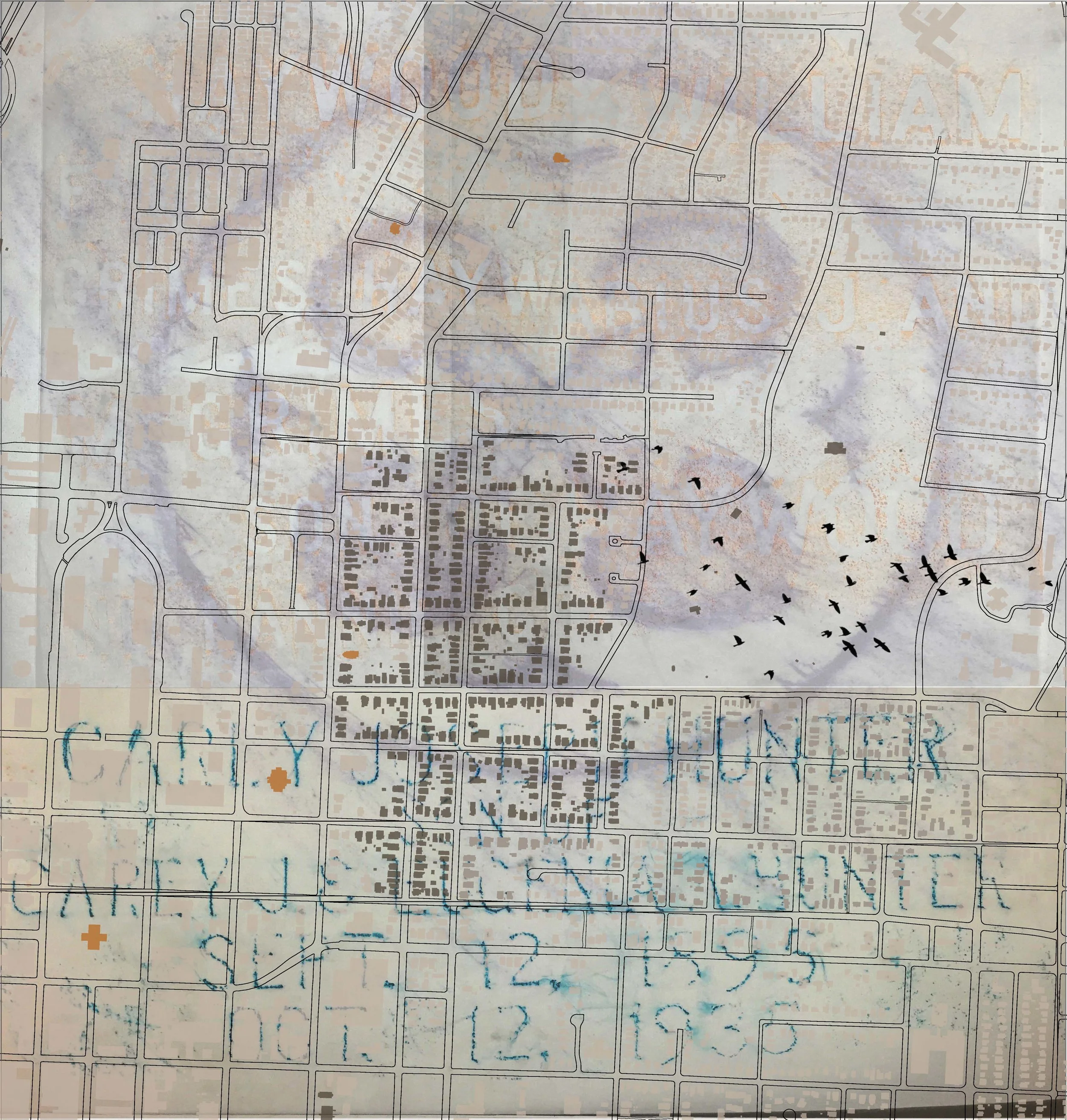 Historic Oakwood: Social Territory