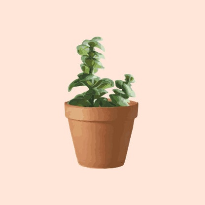 plants.skills.jpg