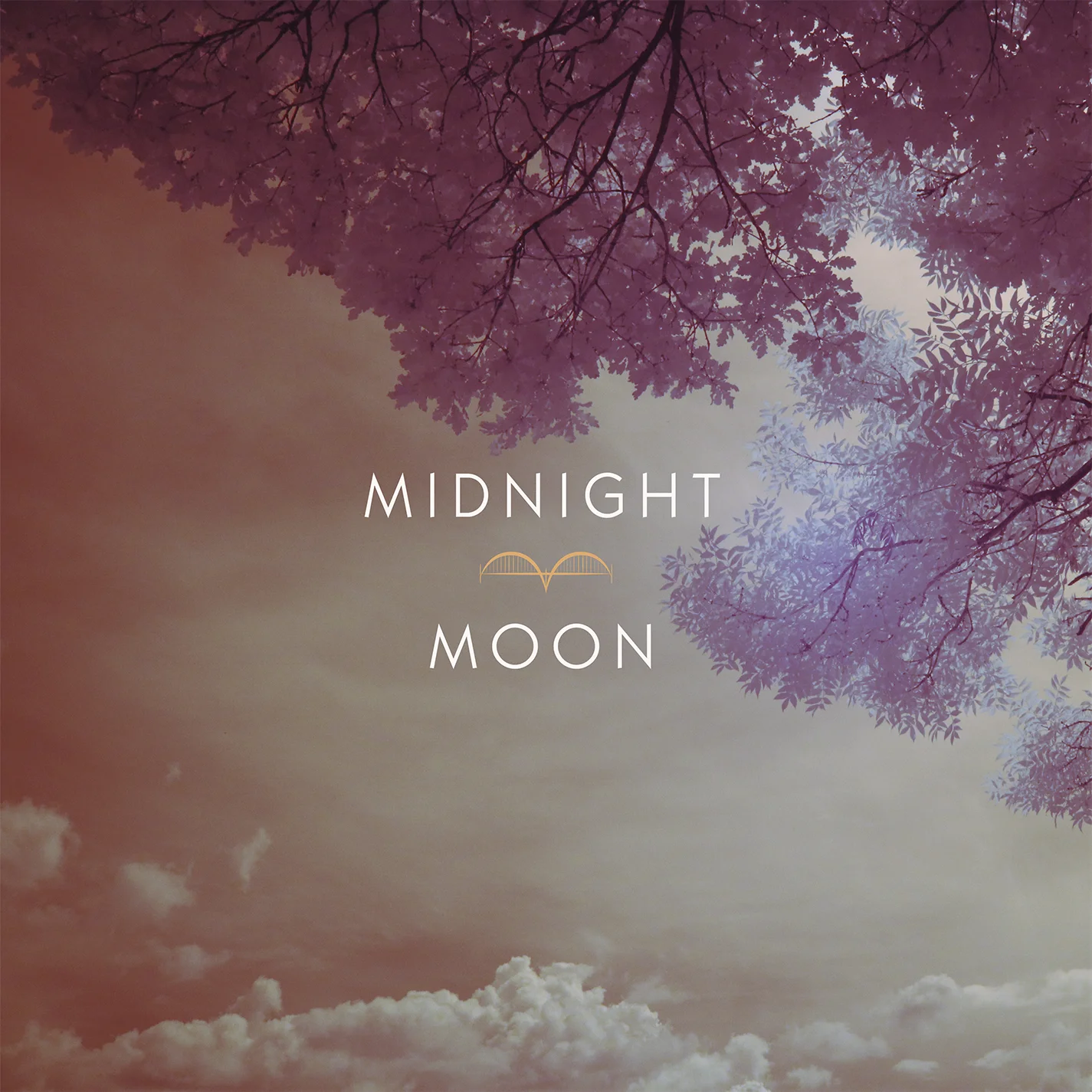 midnight-moon-infrared-ep-tree-photography.jpg