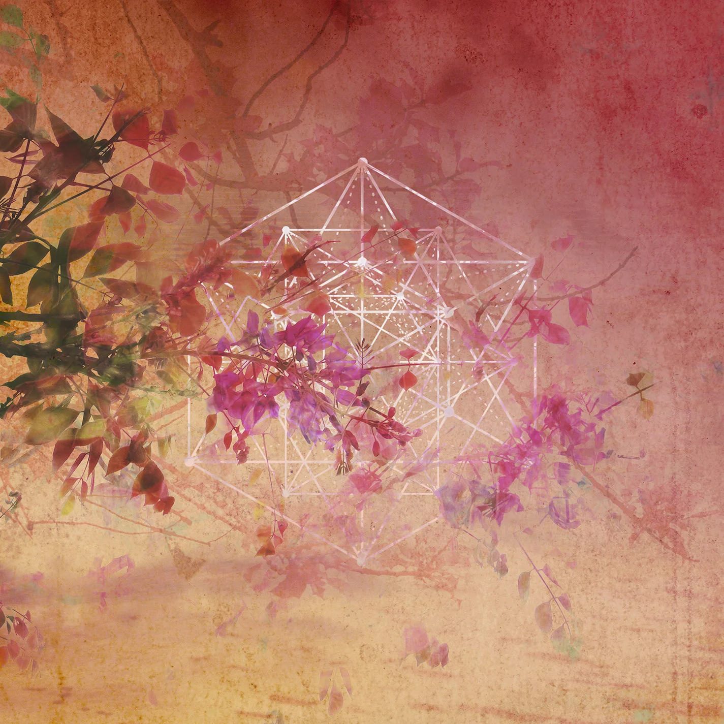 lena-elleodin-graphic-art-illustration-album-geometric.jpg