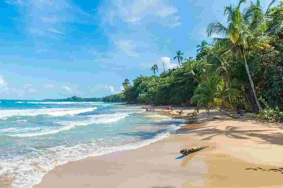 Beach Pretty House Tours:  Costa Rica Beach House designed by Beth Webb