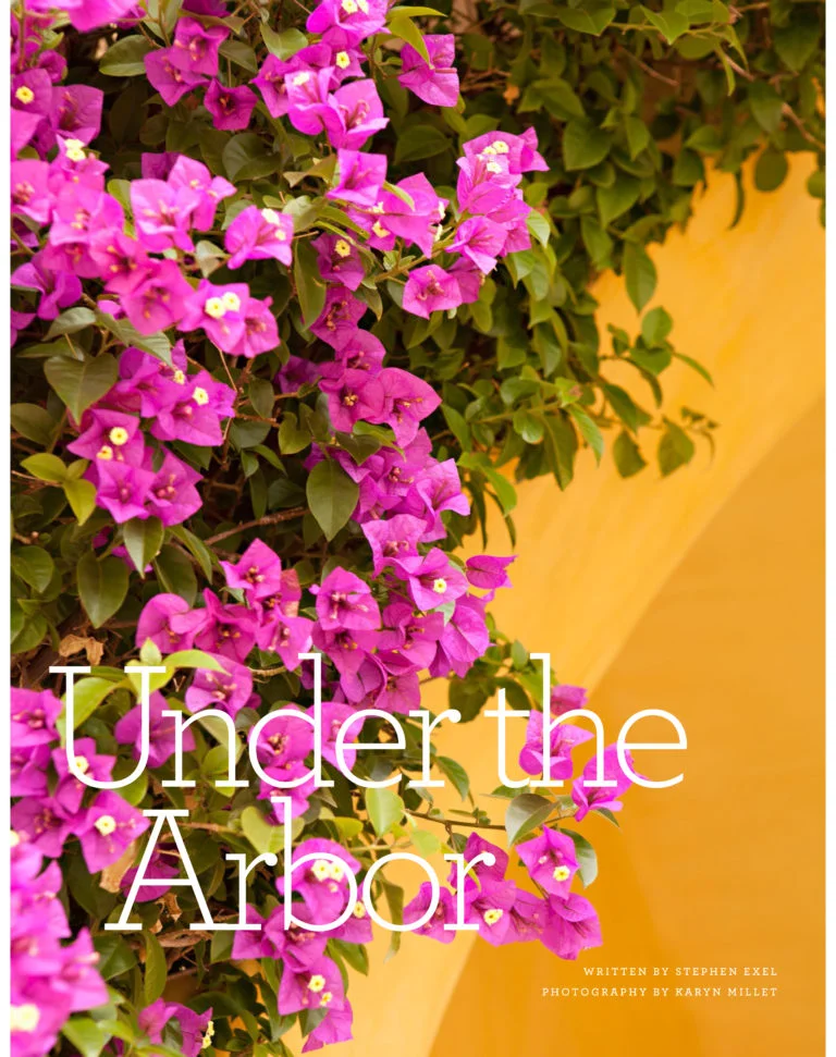 Beach Pretty Entertaining-Under the Arbor.jpg