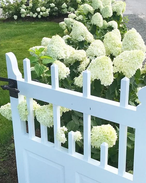 House Tour-A Labor of Love in Castine Maine 14.jpg