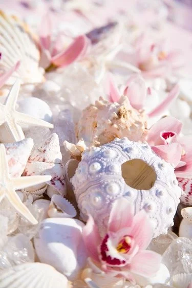 find a treasure…..
