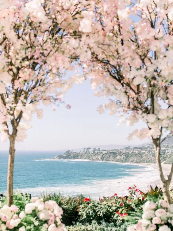 Exquisite wedding at The Ritz-Carlton in Laguna Niguel in Southern California, event by | Details Details .|