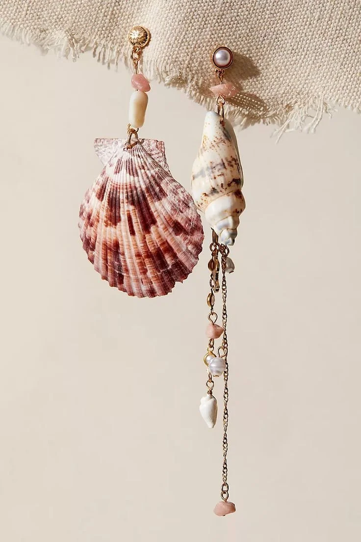 Compass Shell Earrings