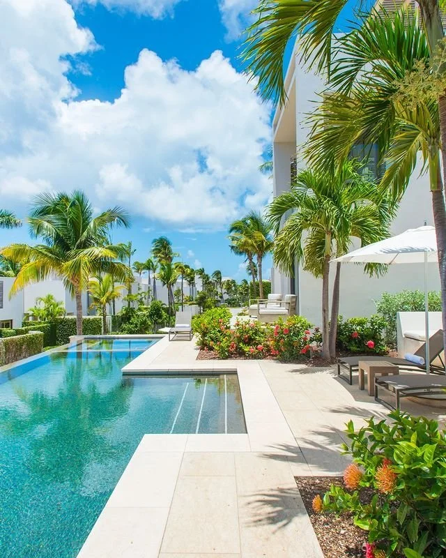 Luxury Tropical Resort Pool with Palm Trees and Modern Design