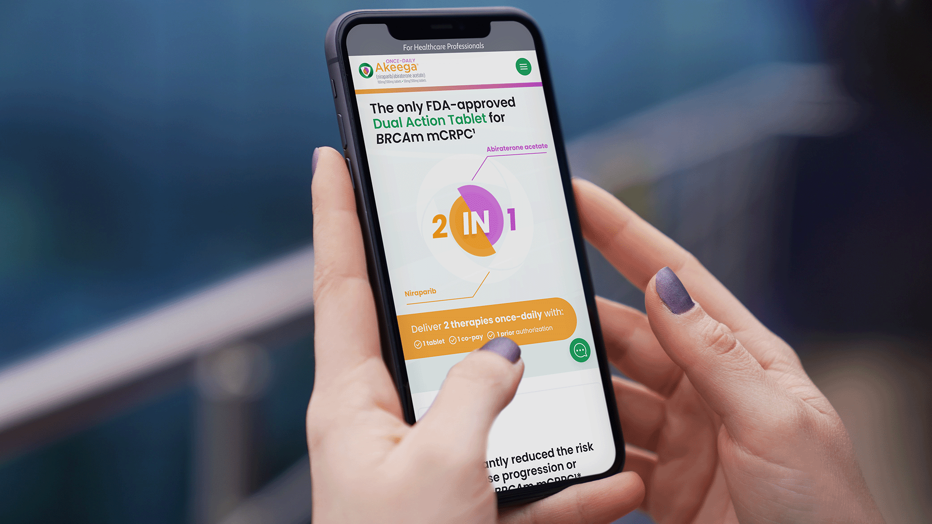 Akeega | Responsive Website