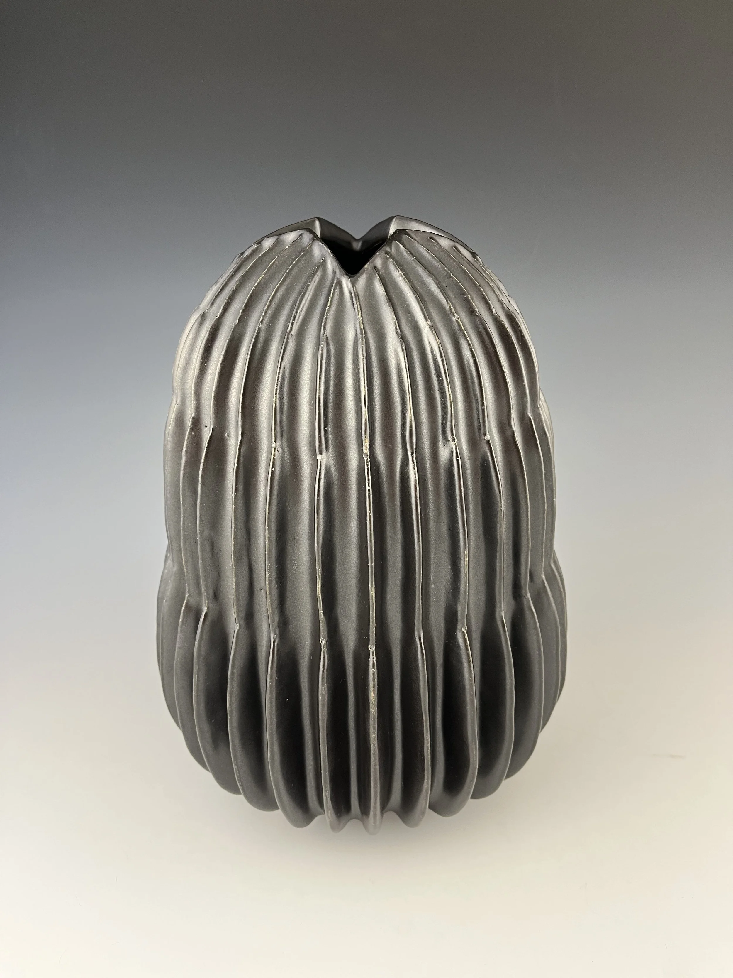   Seed of Truth   9.75” H x 7.5” W 