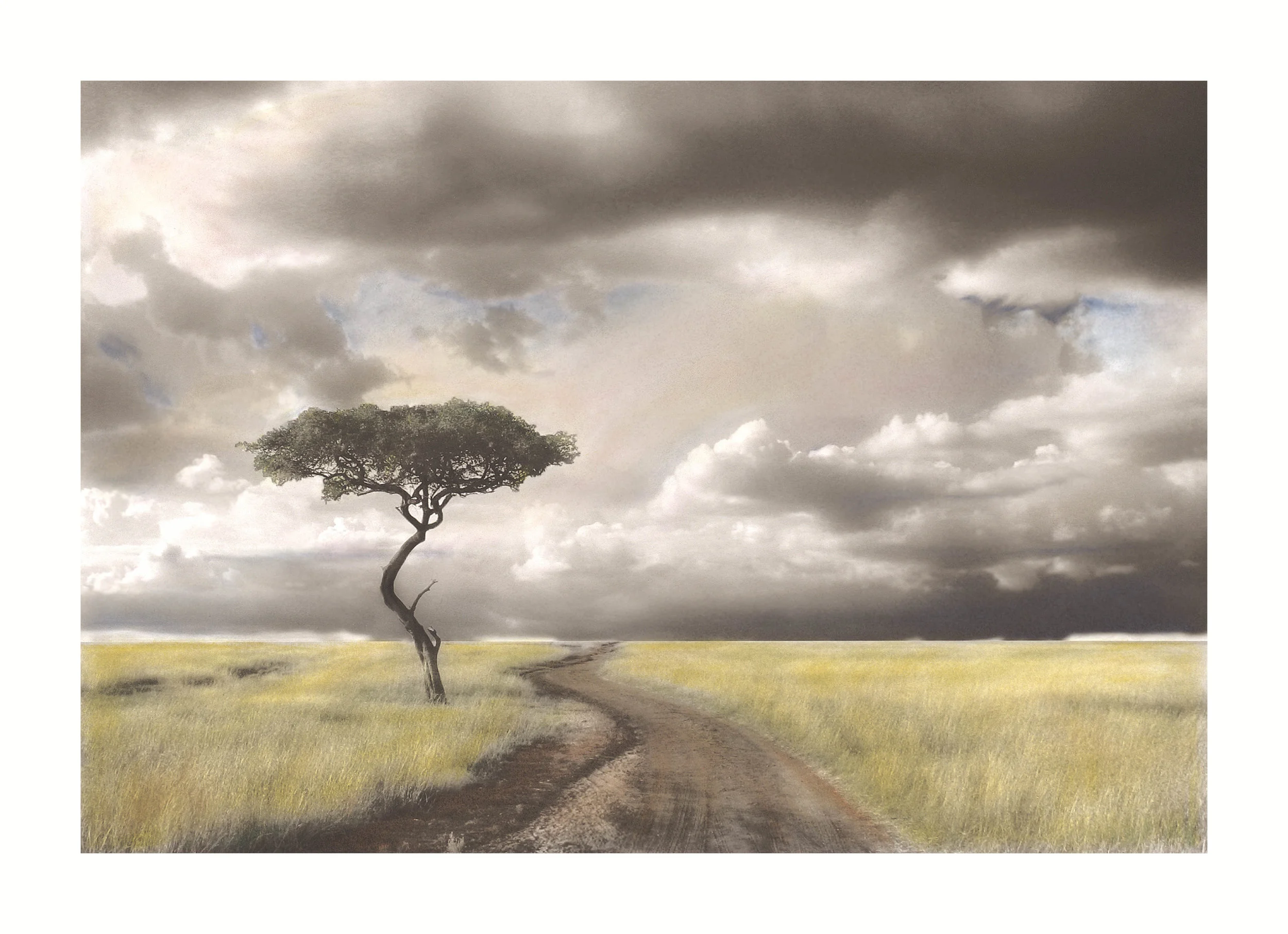  Lone Tree on the Masai Mara This piece began as a black & white image, printed on fine art paper then hand-colored with soft pan pastels. The Lone Tree on the Masai Mara is available in various sizes as an Archival Giclee Print.