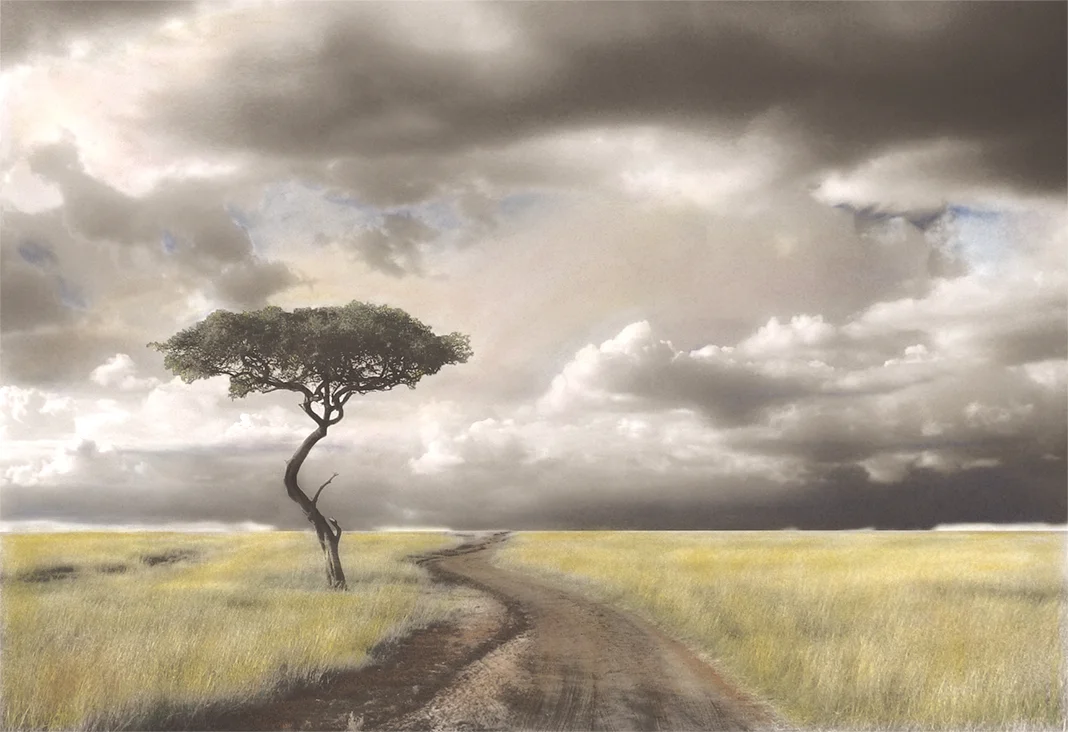Lone Tree on the Masai Mara For those who are new to my work, this is an old favorite. I took the original photograph on the Masai Mara in Kenya after completing my first mission trip serving those impacted by AIDs. Once back home I converted the photograph to black and white then handprinted it with pan-pastels using a technique shared with me by a dear friend. I've made several originals in various sizes over the years...exploring different color options. This image is available as a custom archival Giclee print in whatever size you desire. I've recently created a new original hand-painted version of this image, which will be featured at a Membership Medley Show at Blue Line Arts Gallery in Roseville later this summer: https://www.bluelinearts.org/ . Contact me for more info!