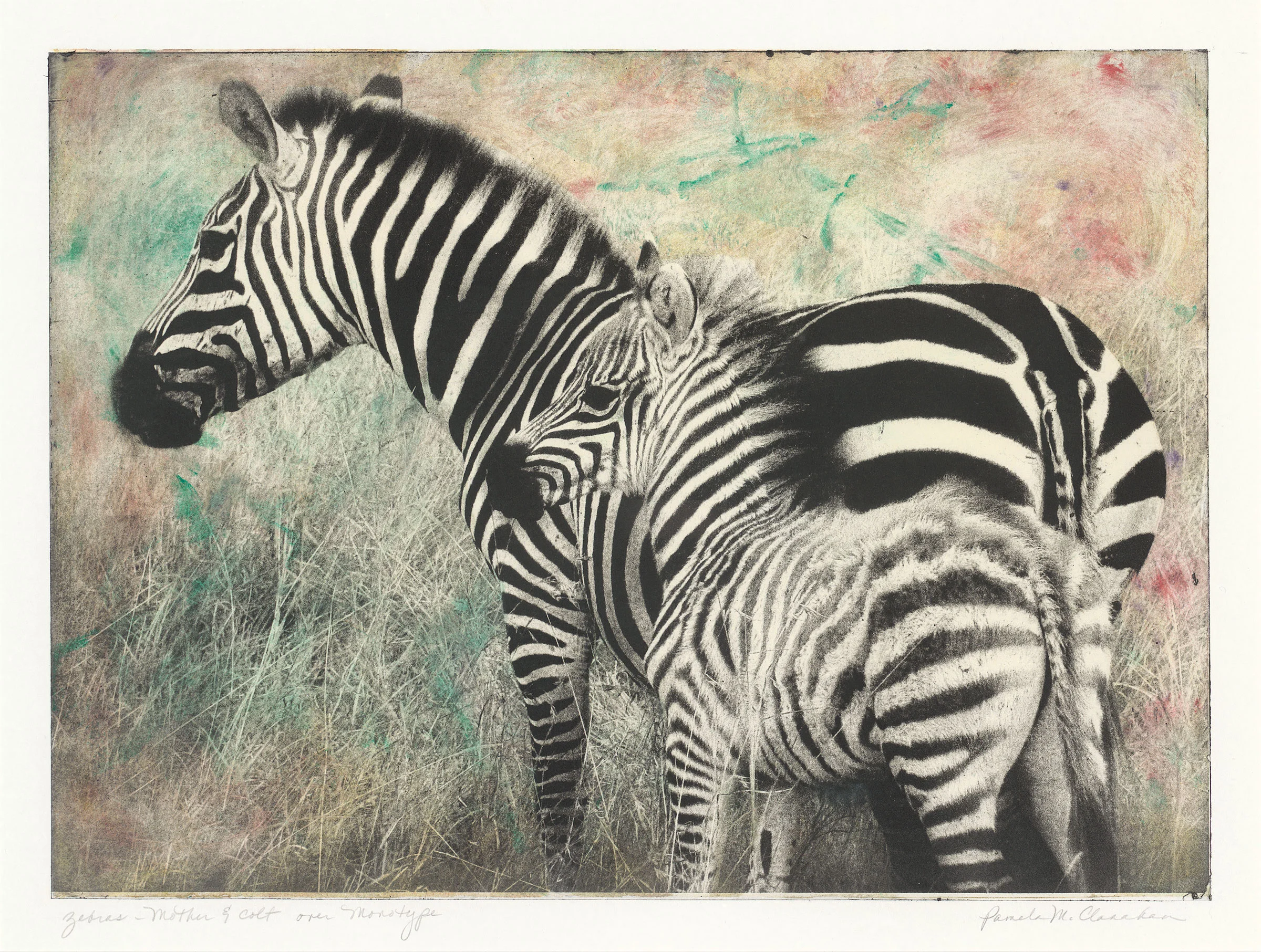 This print was made while working with Ron Pokrasso in Santa Fe, New Mexico. I made this photograph while on safari in Kenya, then converted it to an "ImagOn" plate for Intaglio print-making. First I made a larger monotype plate with some varied color and marks, then wiped away the color where the zebras would print. I love the result. The original hangs in my breakfast nook; Archival Giclee prints are available in various sizes. Please contact me for more information.