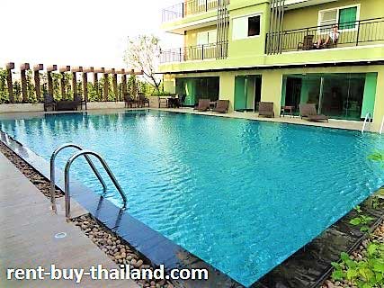 condo-with-pool-rent-buy-thailand