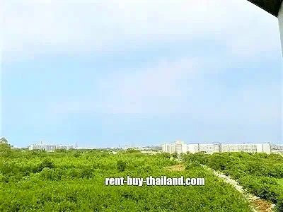 thailand-property.webp