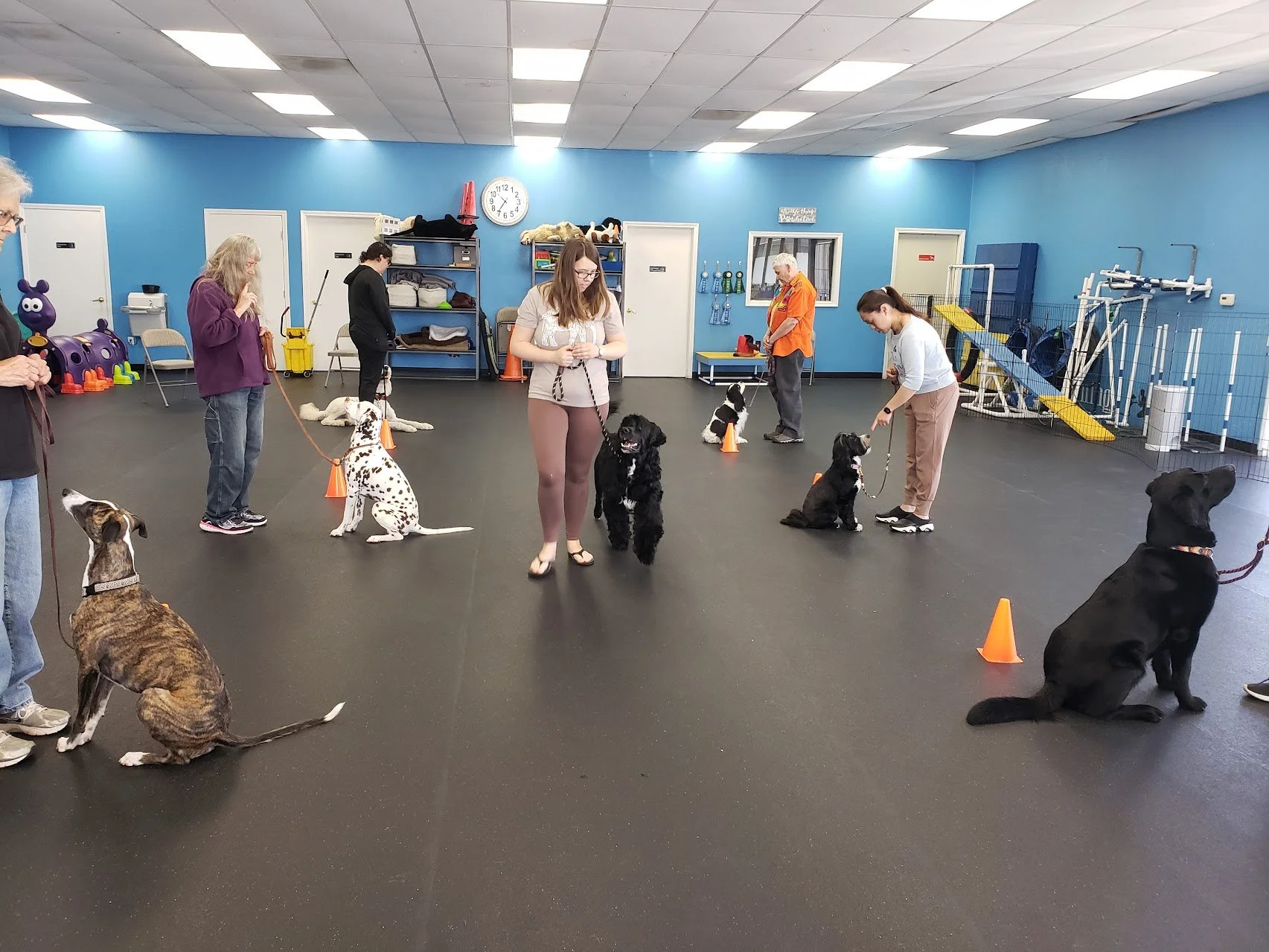 obedience group.jpg