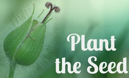 PlanttheSeed.jpg