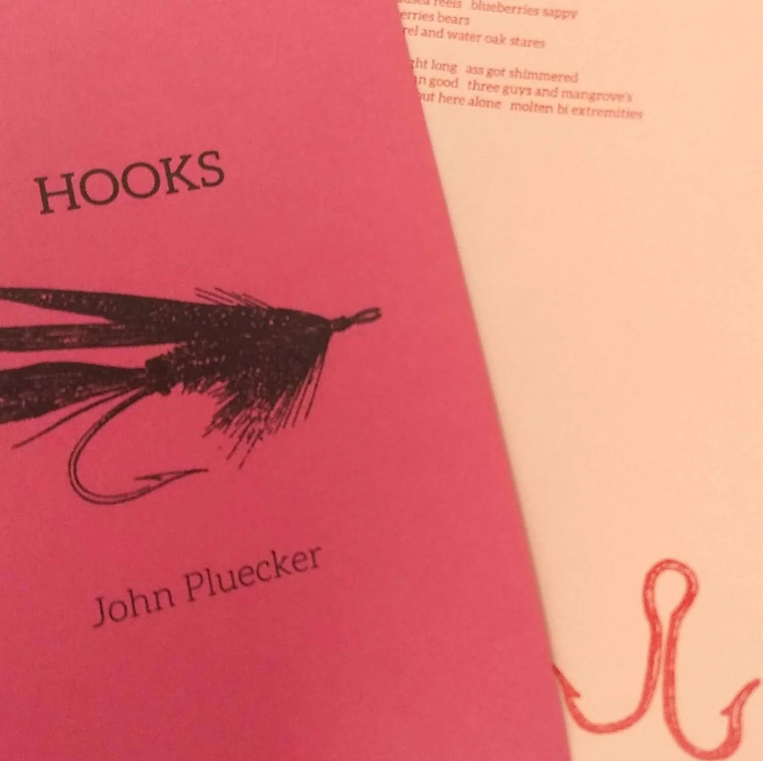 hooks image.jpg