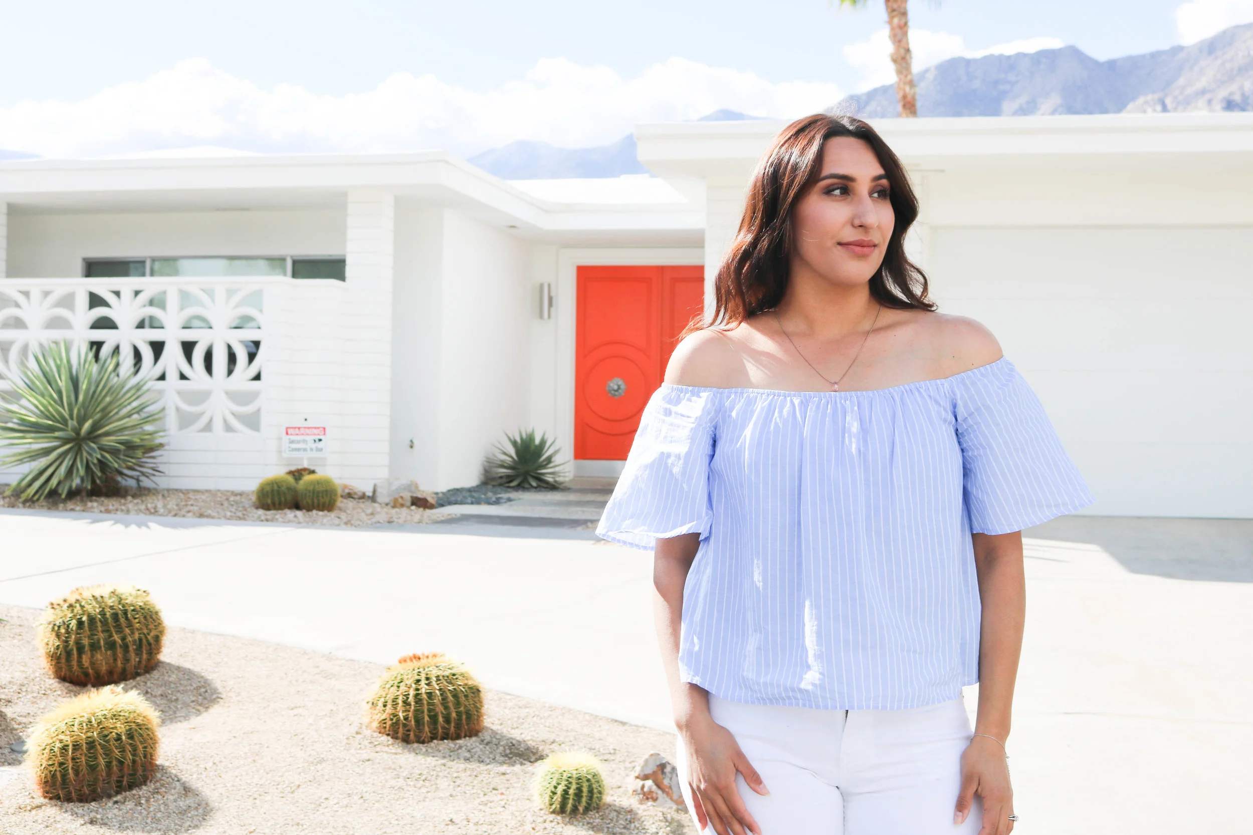 Palm Springs Door Tour.jpg