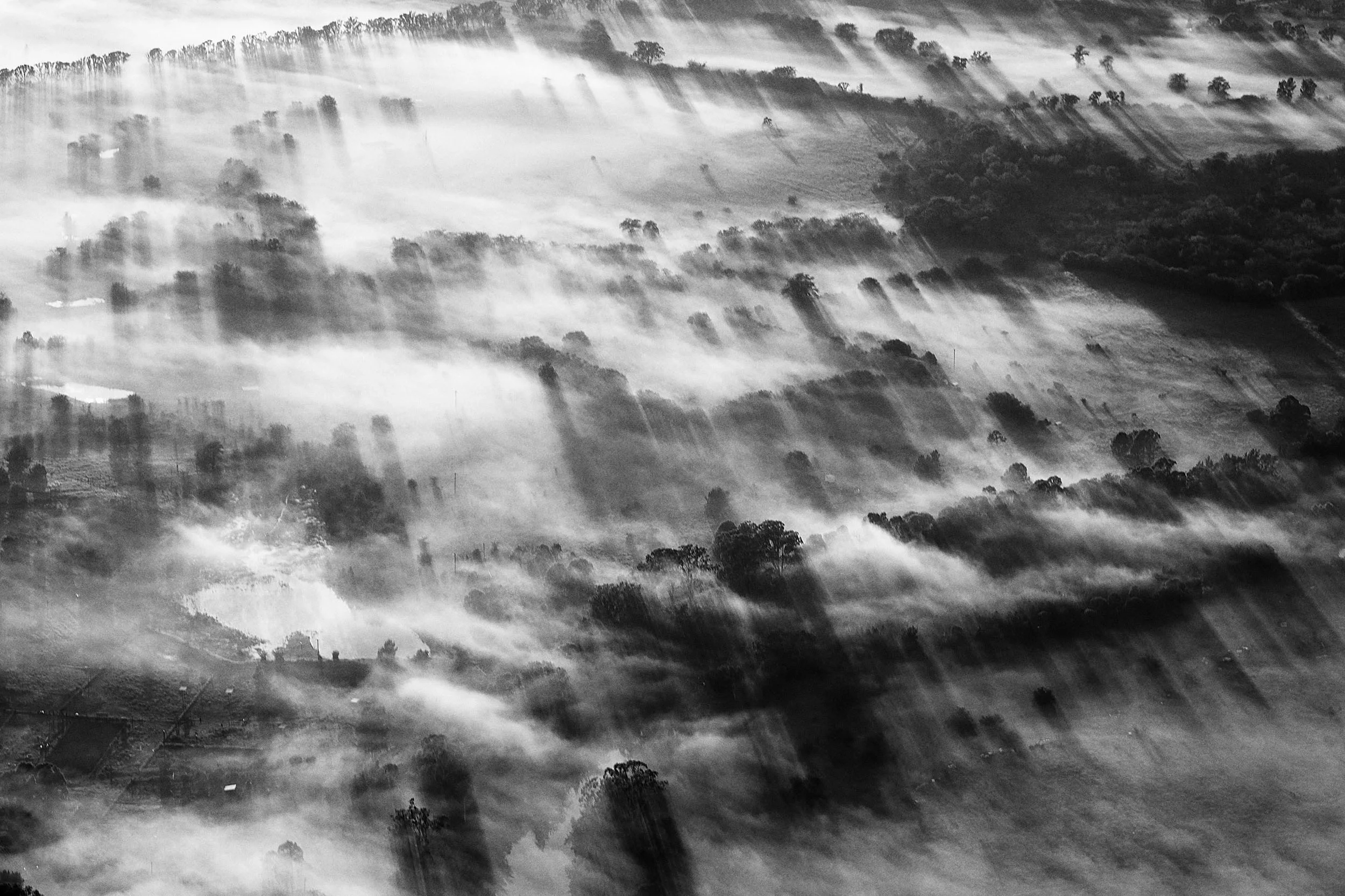 Landscape_Arial_Trees_Fog.jpg