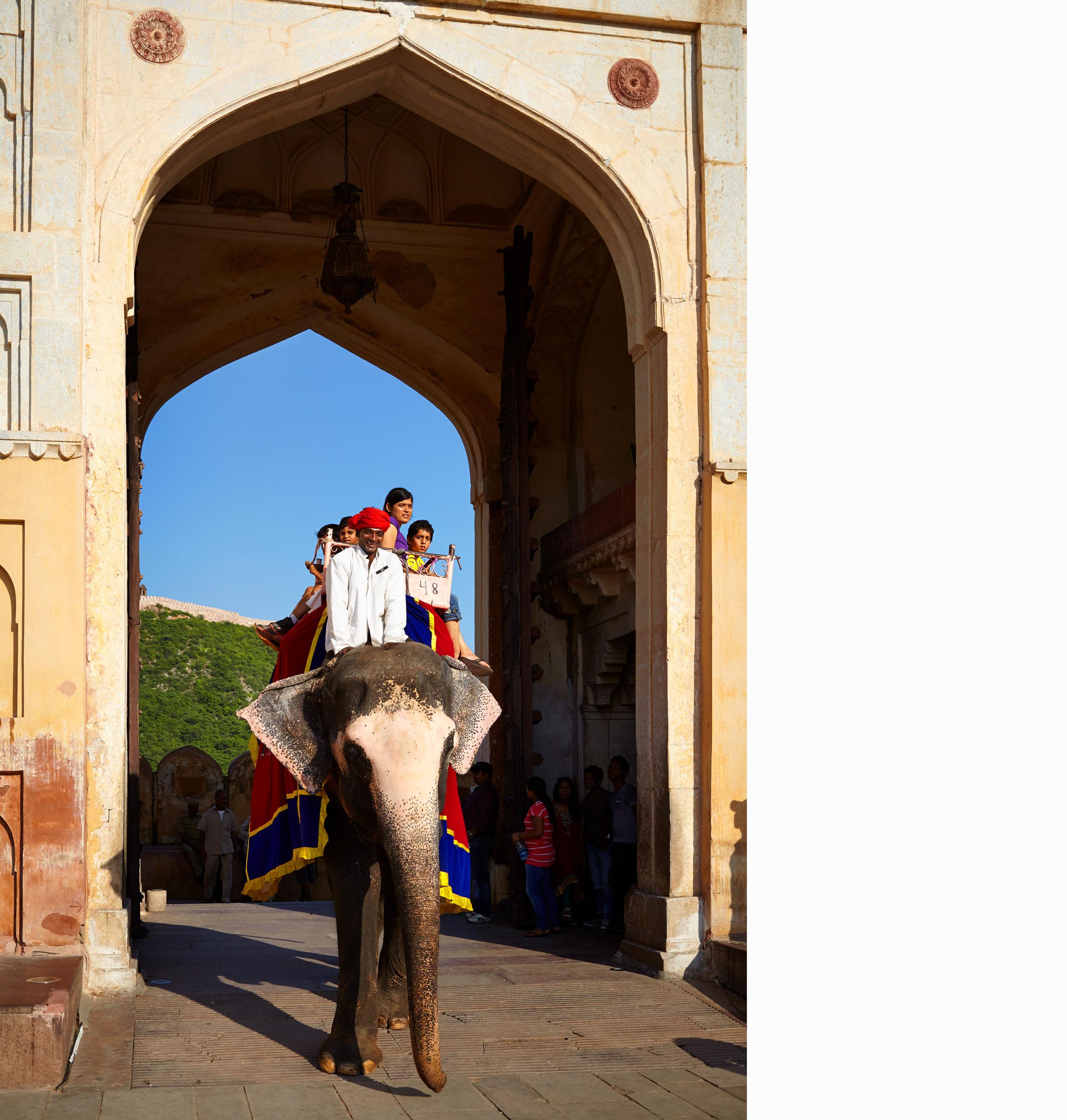 Travel_India_Jaipur_Amaer_Fort_Elephant.jpg