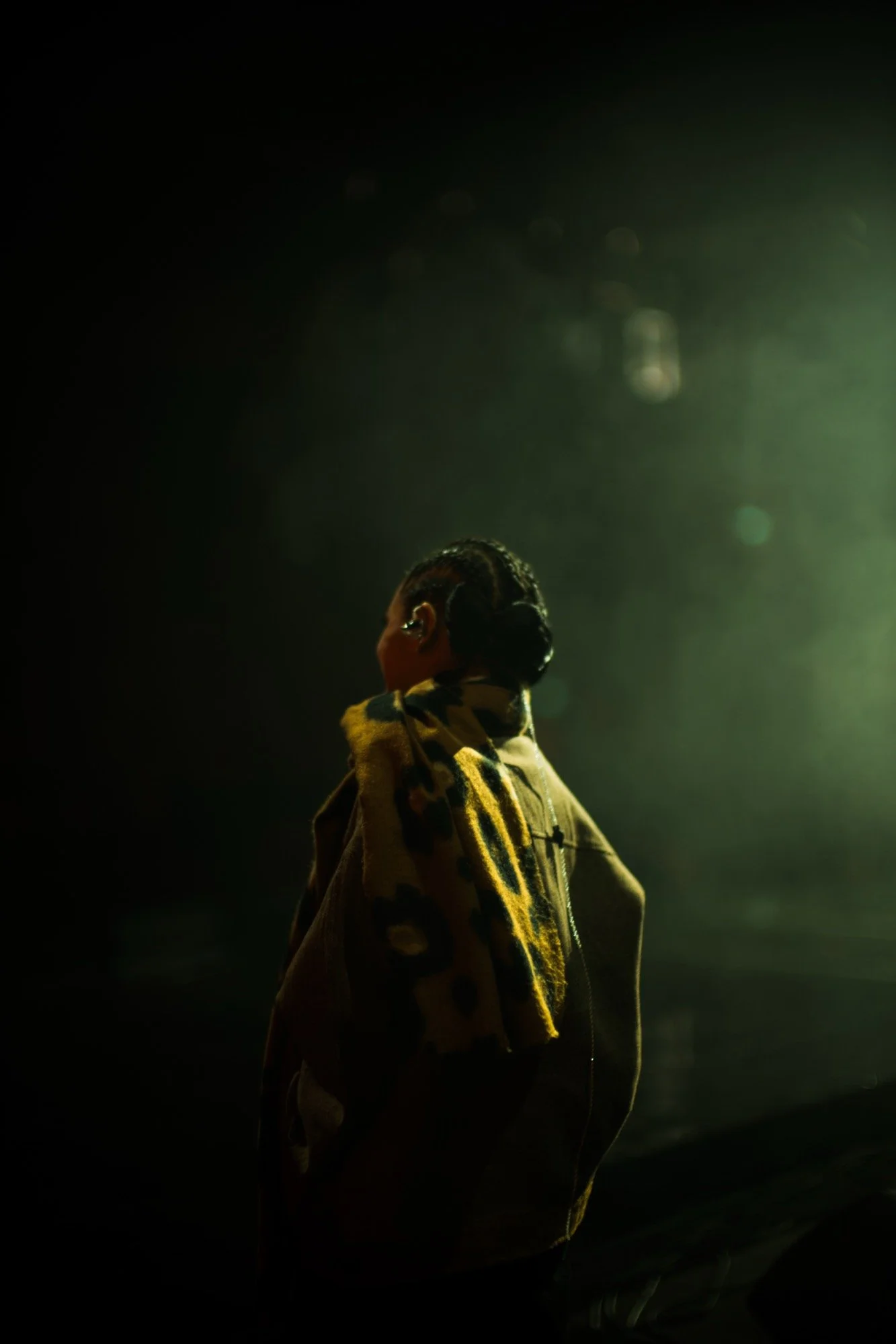 Andien-Suarasmara-Concert-CK 3-NOT FINAL-34.jpg